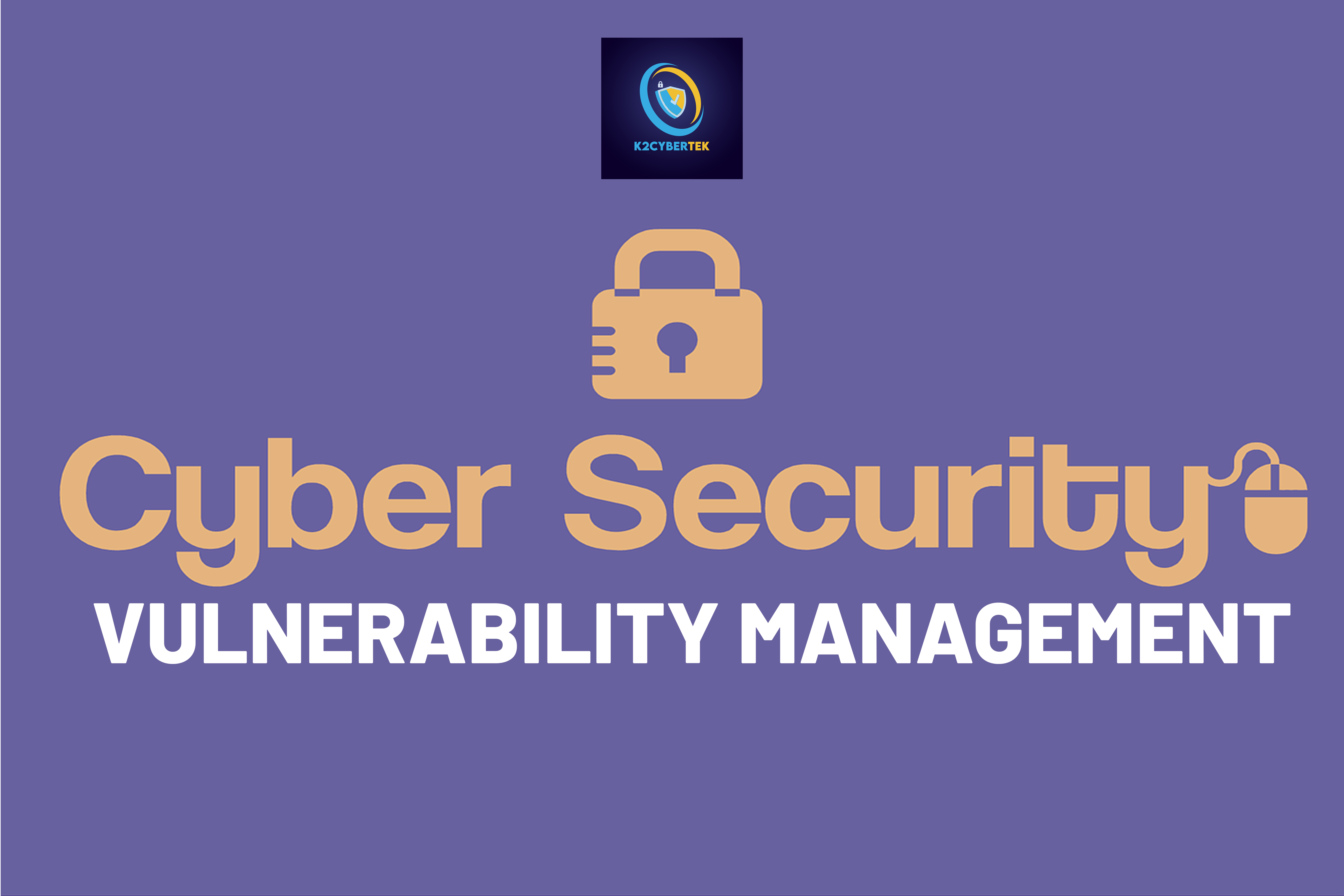 Vulnerability Management